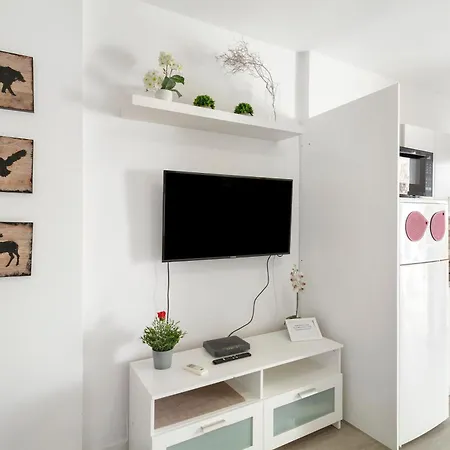 1210 In Area Appartement *